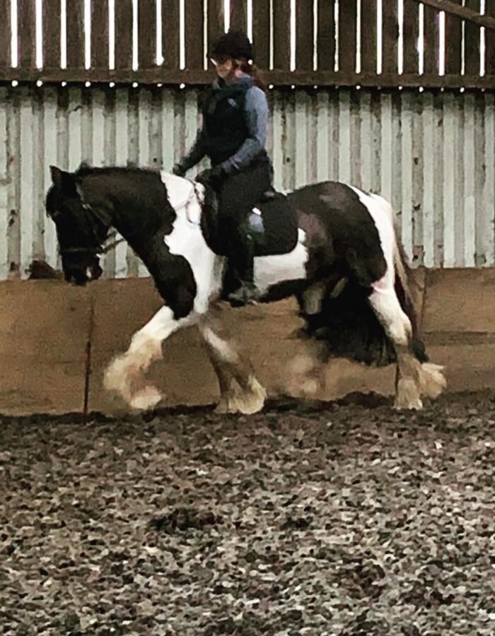 WhatsApp Image 2025-10-13 at 10.55.09_1be4e40a