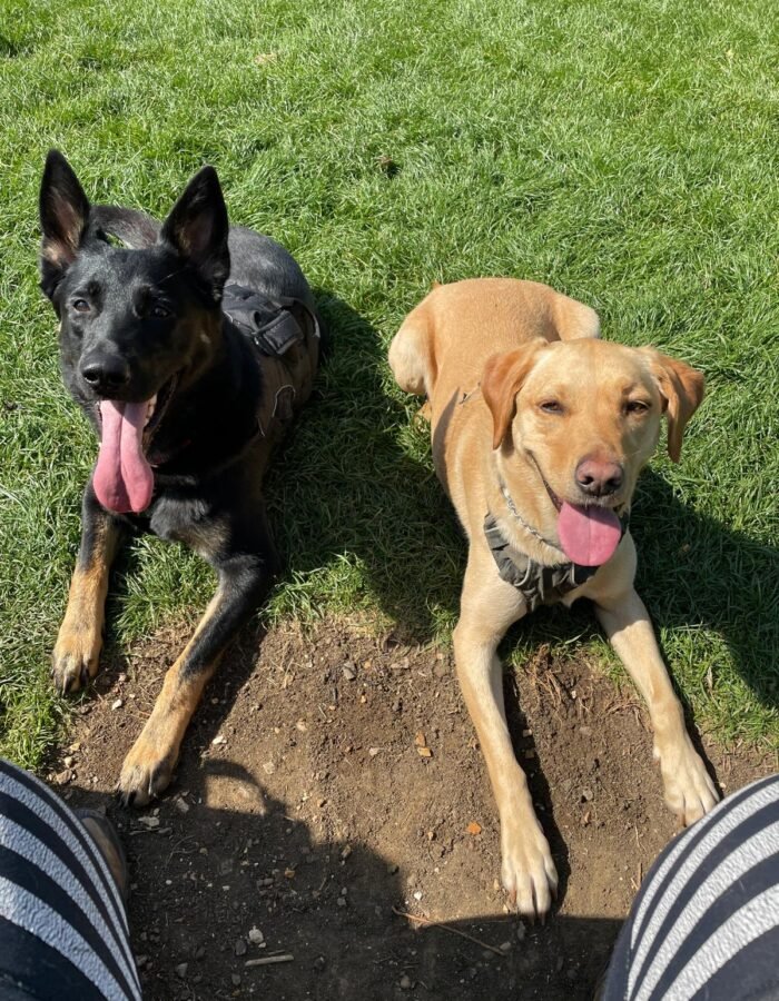 WhatsApp Image 2025-10-13 at 10.55.09_aed078ce