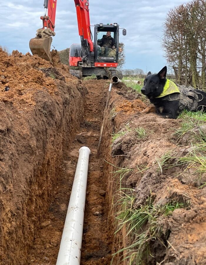 WhatsApp Image 2025-10-13 at 10.55.12_9689c662