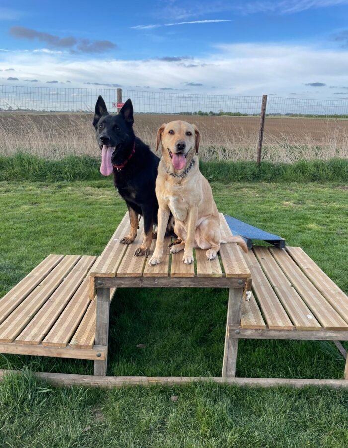 WhatsApp Image 2025-10-13 at 10.55.15_31494a3b