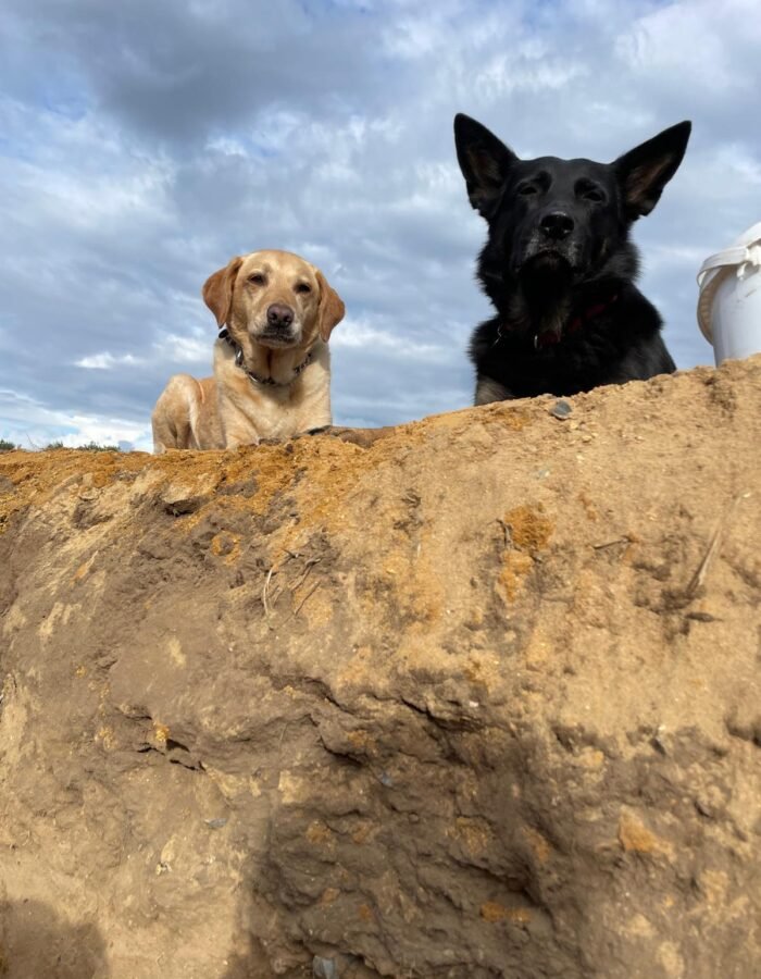 WhatsApp Image 2025-10-31 at 15.31.06_427b20cc