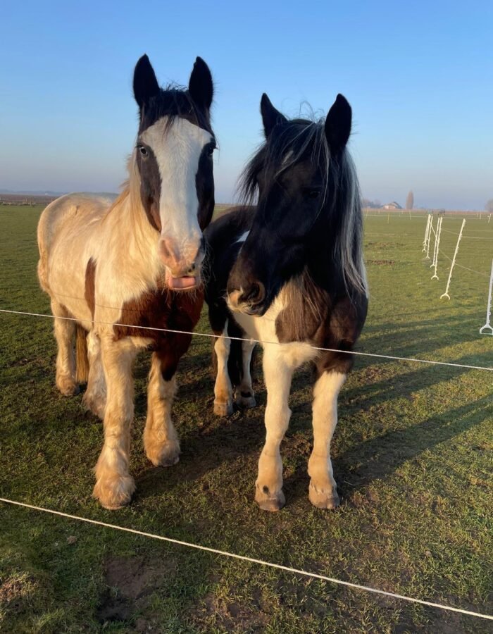 WhatsApp Image 2025-10-31 at 15.34.30_0bcca4cf