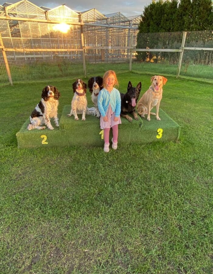 WhatsApp Image 2025-11-02 at 16.11.22_850c7b06